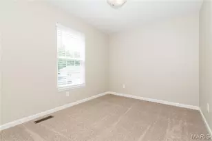 300 Andy Habsieger, Festus, MO 63028 - Photo 10