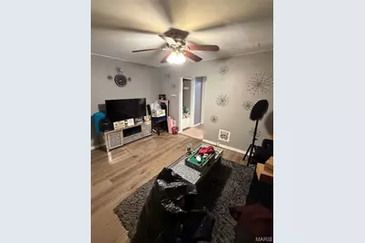 3853 Potomac Street, Saint Louis, MO 63116 - Photo 6