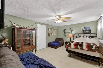 9734 Raintree Village Drive #4B, Hillsboro, MO 63050 - Photo 16