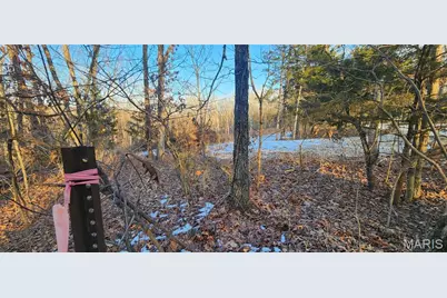 5917 Twin Fawn Ridge, Hillsboro, MO 63050 - Photo 4