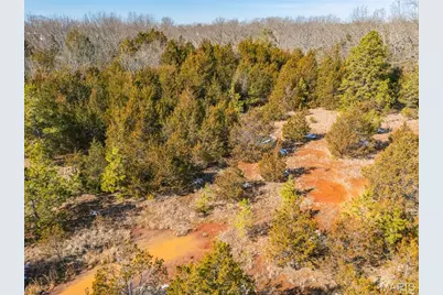 0 Highway M, Greendale, MO 63648 - Photo 32