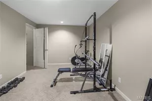 384 Oak Meadows Dr, Jackson, MO 63755 - Photo 24