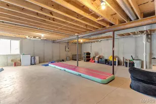 3655 Bullsway Dr, Imperial, MO 63052 - Photo 38