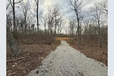 0 Tract D Highway Vv, Licking, MO 65542 - Photo 2