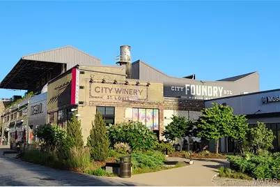 327 N Boyle Avenue #4, Saint Louis, MO 63108 - Photo 44