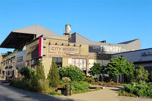 327 N Boyle Ave, Saint Louis, MO 63108 - Photo 44