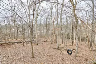 1319 Oak Borough Dr, Ballwin, MO 63021 - Photo 60