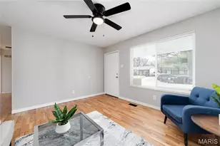 10430 Castle Dr, Saint Louis, MO 63136 - Photo 4