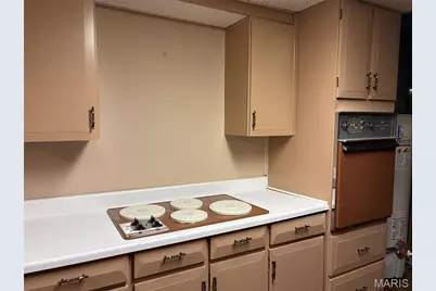 7654 Paragon Circle, Grantwood Village, MO 63123 - Photo 54