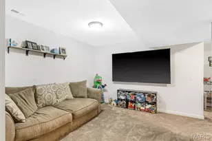 6759 Sycamore Landing, Barnhart, MO 63012 - Photo 32