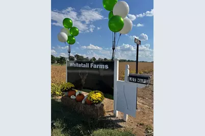 998 Josephville, Wentzville, MO 63385 - Photo 1