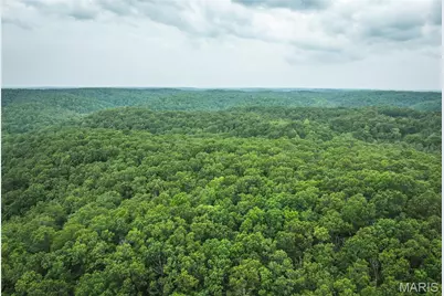 0 County Road 6280 Tract 3, Jadwin, MO 65502 - Photo 2