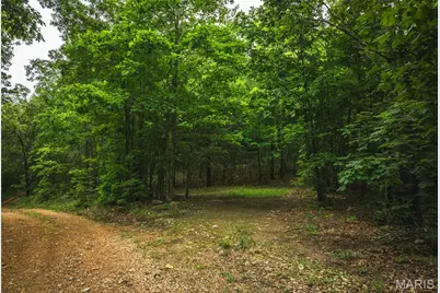 0 County Road 6280 Tract 3, Jadwin, MO 65502 - Photo 10