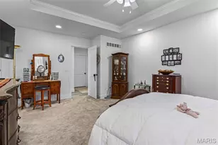 326 St Brigitte, Bonne Terre, MO 63628 - Photo 22