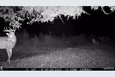 00 Missouri D Highway, Marthasville, MO 63357 - Photo 72