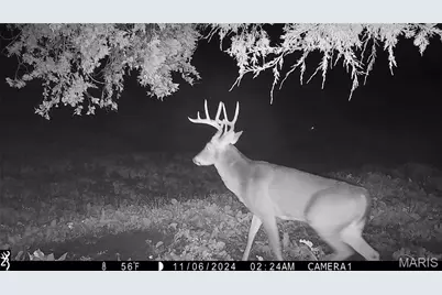 00 Missouri D Highway, Marthasville, MO 63357 - Photo 70