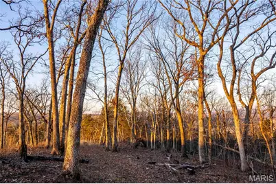 00 Missouri D Highway, Marthasville, MO 63357 - Photo 68