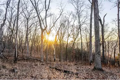 00 Missouri D Highway, Marthasville, MO 63357 - Photo 42