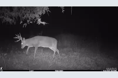 00 Missouri D Highway, Marthasville, MO 63357 - Photo 46