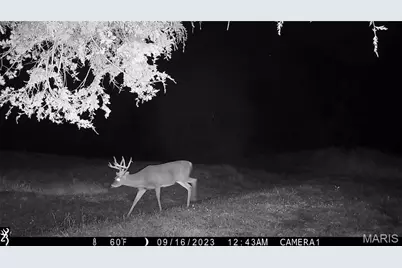 00 Missouri D Highway, Marthasville, MO 63357 - Photo 54