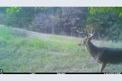 00 Missouri D Highway, Marthasville, MO 63357 - Photo 26