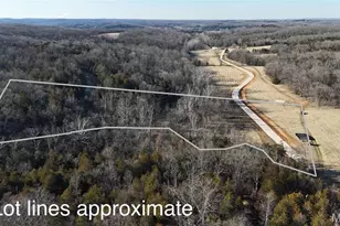 1 Lot Hematite Farms Rd, Festus, MO 63028 - Photo 1