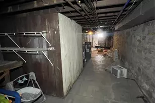 3720 Winnebago St, Saint Louis, MO 63116 - Photo 76