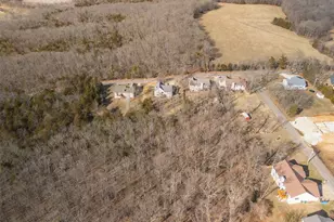 2394 Haverstick School Rd, Festus, MO 63028 - Photo 50