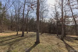 2394 Haverstick School Rd, Festus, MO 63028 - Photo 48