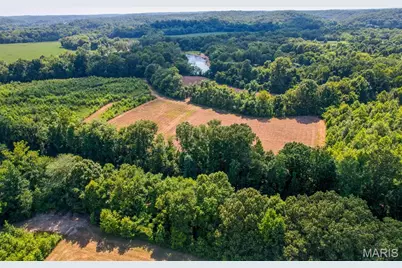 0 County Road 532 Tract 1, Williamsville, MO 63967 - Photo 6