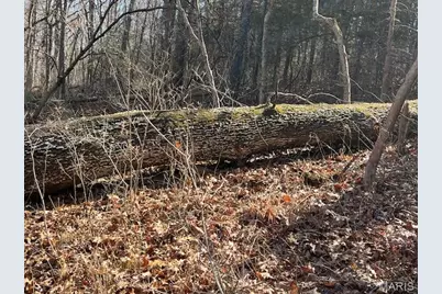 111 Highway Bb, Imperial, MO 65486 - Photo 38