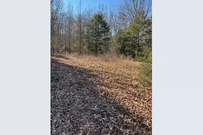 111 Highway Bb, Imperial, MO 65486 - Photo 32