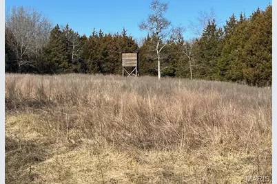 111 Highway Bb, Imperial, MO 65486 - Photo 46