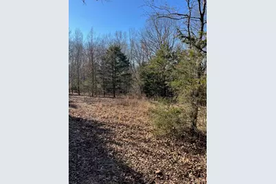 111 Highway Bb, Imperial, MO 65486 - Photo 36