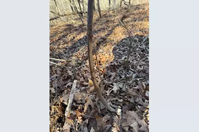 111 Highway Bb, Imperial, MO 65486 - Photo 4