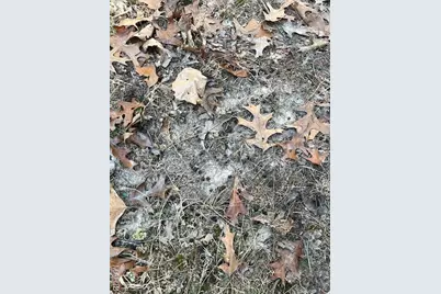 111 Highway Bb, Imperial, MO 65486 - Photo 36