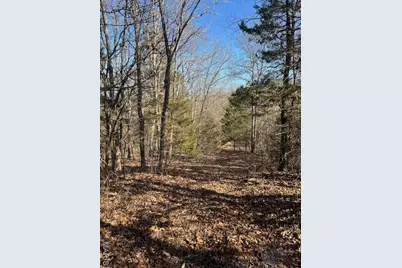 111 Highway Bb, Imperial, MO 65486 - Photo 26