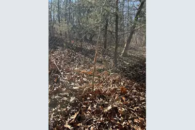 111 Highway Bb, Imperial, MO 65486 - Photo 28