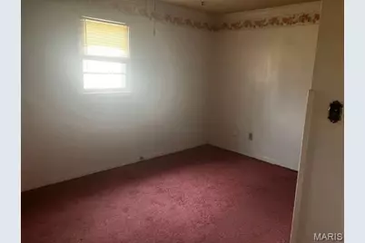732 Digges Place, New Madrid, MO 63869 - Photo 6