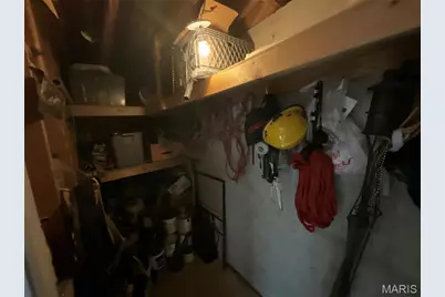 2038 Peine Forest Drive, Wentzville, MO 63385 - Photo 38