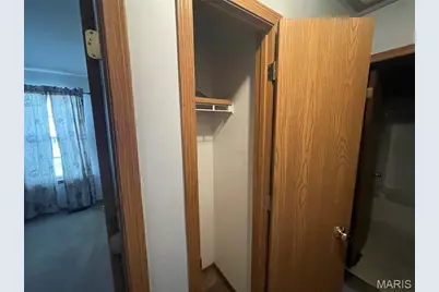 2038 Peine Forest Drive, Wentzville, MO 63385 - Photo 26