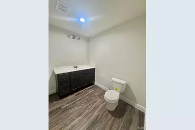 300 Blackberry Lane, Bismarck, MO 63624 - Photo 34