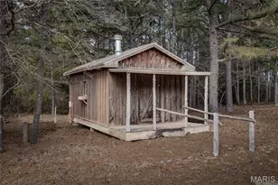 107 Wildhorse Rd, Farmington, MO 63640 - Photo 58