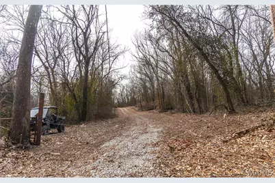 000 Mill Street, Potosi, MO 63664 - Photo 30