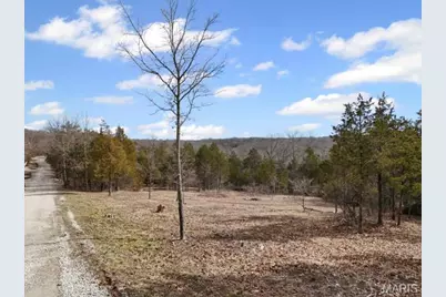 Tbd Cedar Lane, Festus, MO 63028 - Photo 4