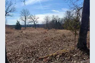 14 Legacy Drive, Potosi, MO 63664 - Photo 6