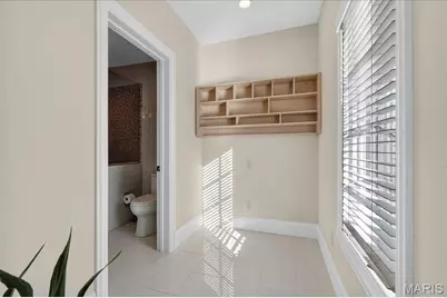 9998 Litzsinger Road, Ladue, MO 63124 - Photo 48