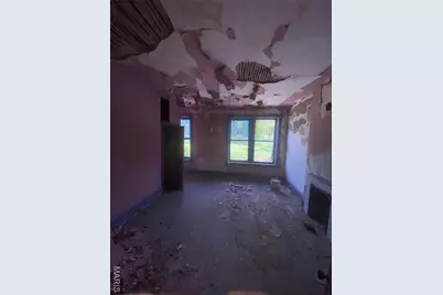 1010 Bittner Street, Saint Louis, MO 63147 - Photo 18