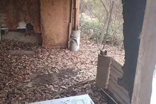 6405 Myrtle Ave, Saint Louis, MO 63133 - Photo 18