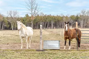 7882 Hwy FF, Grubville, MO 63041 - Photo 52